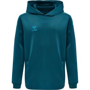 211483-7058-children-s-hoodie-hummel-hmlcore-xk-blue-coral