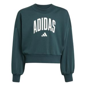 jv7377-sweatshirt-girl-adidas-essentials-collegiate-typography-aurivy-white