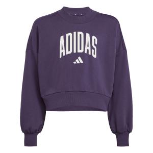 jv7379-sweatshirt-girl-adidas-essentials-collegiate-typography-aurplu-white