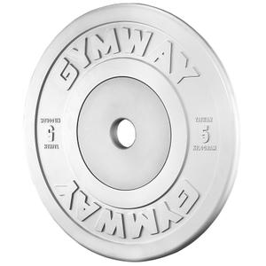 k9380-dumbbell-gymway-silver-45-cm