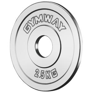 k9389-weight-plate-gymway-friction-grip-2-5-kg-silver-one-size