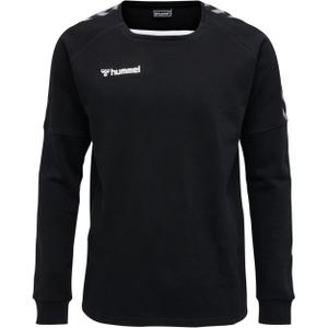 205373-2114-sweatshirt-hummel-hmlauthentic-training-black-white