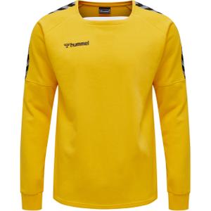 205373-5001-sweatshirt-hummel-hmlauthentic-training-yellow