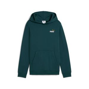 685825-75-child-hoodie-puma-essentials-2-green-terrain