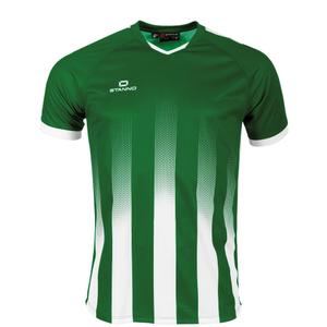 410010-1200-jersey-stanno-vivid-green-white