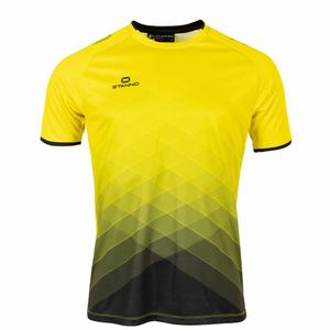 410011-4800-jersey-stanno-altius-yellow-black