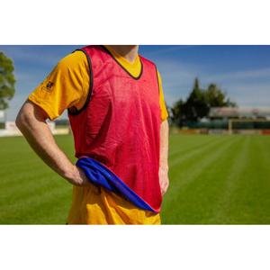 ta093brm-reversible-training-bib-powershot-blue-red-one-size